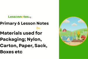 Materials used for Packaging; Nylon, Carton, Paper, Sack, Boxes etc