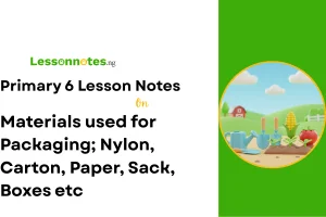 Materials used for Packaging; Nylon, Carton, Paper, Sack, Boxes etc