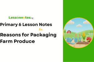 Reasons for Packaging Farm Produce