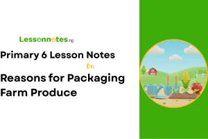 Reasons for Packaging Farm Produce
