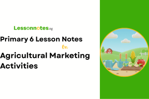 Agricultural Marketing Activities