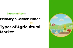 Types of Agricultural Market