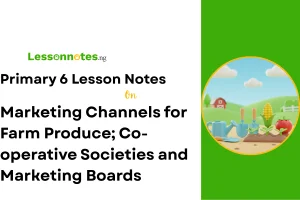 Marketing Channels for Farm Produce; Co-operative Societies and Marketing Boards
