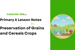 Preservation of Grains and Cereals Crops