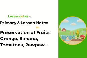 Preservation of Fruits: Orange, Banana, Tomatoes, Pawpaw...