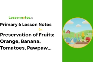 Preservation of Fruits: Orange, Banana, Tomatoes, Pawpaw...