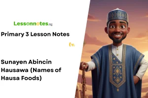 Sunayen Abincin Hausawa (Names of Hausa Foods)