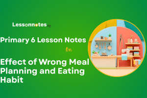 Effect of Wrong Meal Planning and Eating Habit
