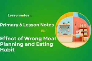 Effect of Wrong Meal Planning and Eating Habit