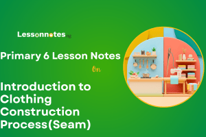 Introduction to Clothing Construction Process(Seam)