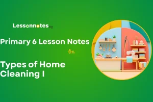 Types of Home Cleaning I