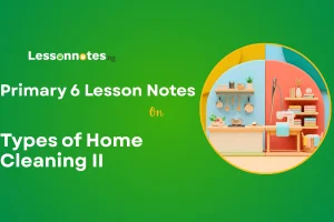 Types of Home Cleaning II