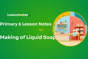 Making of Liquid Soap