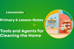 Tools and Agents for Cleaning the Home