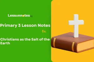 Christians as the Salt of the Earth