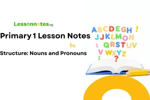 Structure: Nouns and Pronouns