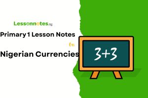Nigerian Currencies