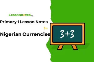 Nigerian Currencies