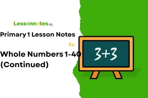 Whole Numbers 1-40 (Continued)