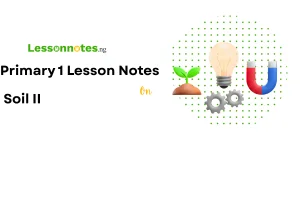 Soil II: Importance & Things Found in Soil