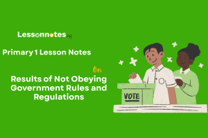 Results of Not Obeying Government Rules and Regulations