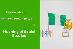 Meaning of Social Studies