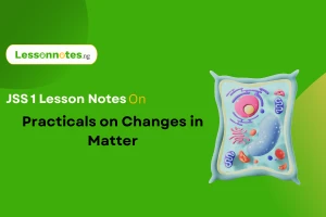 Practicals on Changes in Matter