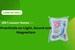Practicals on Light, Sound and Magnetism