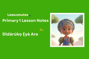 Didárúkọ Ẹyà Ara
