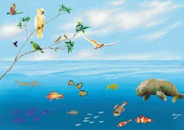 Illustration of birds on a branch above the sea, with colourful fish and a large sea animal swimming below