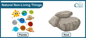 Chart titled Natural Non-Living Things, showing cartoon planets labelled Planets and a grey rock labelled Rock